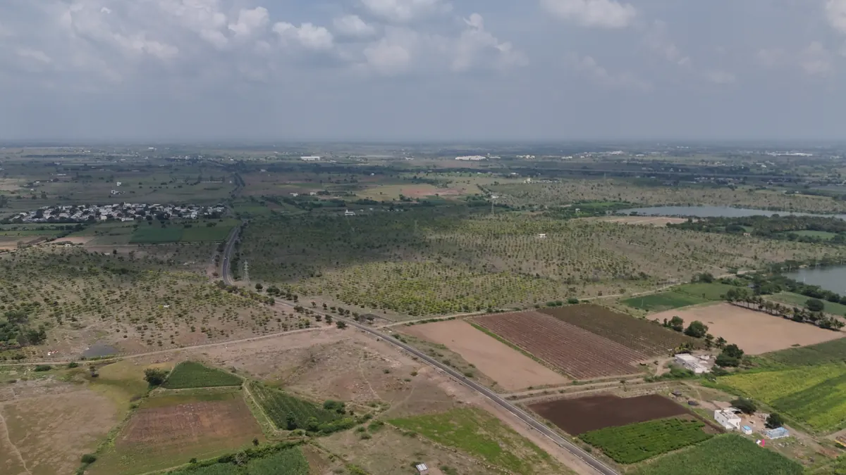 Aerial view of Karad Doddi forest showing the green transformation